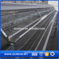 A type h type galvanized layer cage broiler cage system african farm chicken breeding system chicken cage